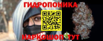ПСИЛОЦИБИНОВЫЕ ГРИБЫ Гай